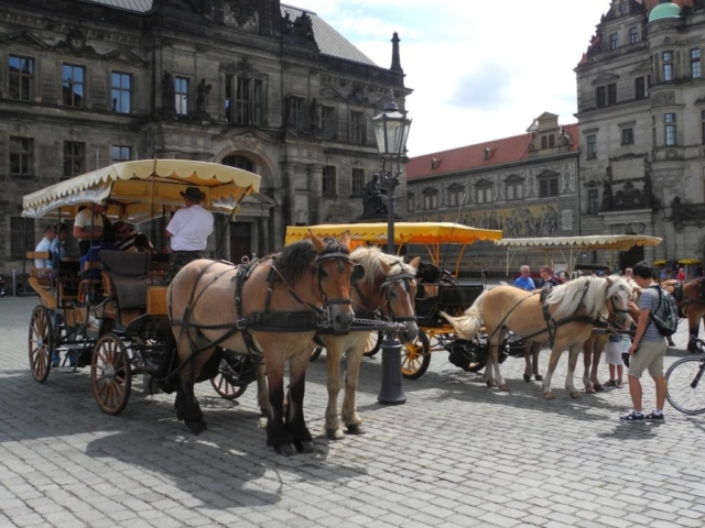 Экскурсии в Дрездене